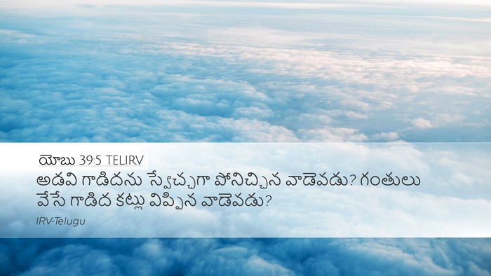 యోబు 39:5 TELIRV Bible Verse Image