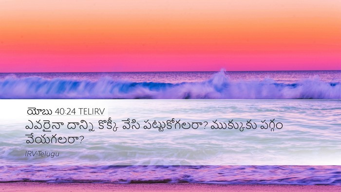 యోబు 40:24 TELIRV Desktop Wallpaper - ఎవరైనా దాన్ని - Desktop Bible Verse Wallpaper