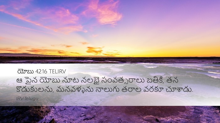 యోబు 42:16 TELIRV Bible Verse Image