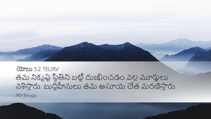 యోబు 5:2 TELIRV Bible Verse Image