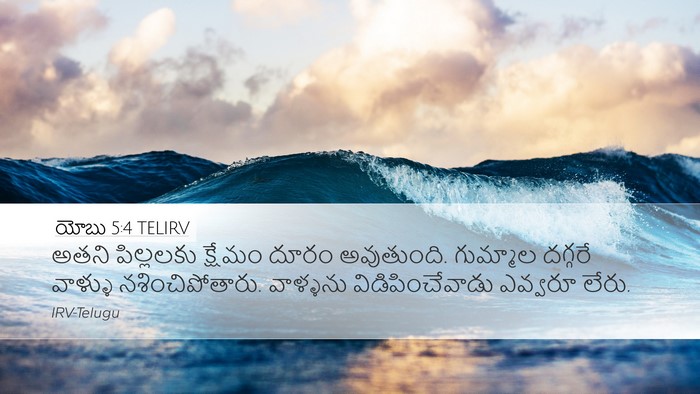 యోబు 5:4 TELIRV Bible Verse Image