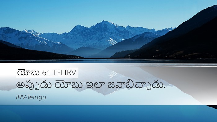 యోబు 6:1 TELIRV Bible Verse Image