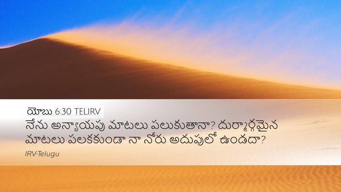 యోబు 6:30 TELIRV Bible Verse Image