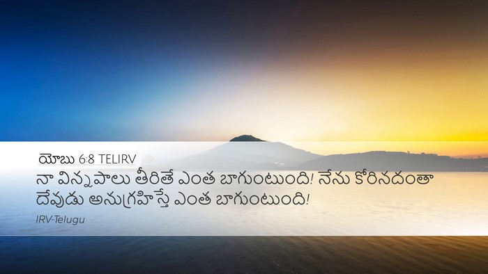 యోబు 6:8 TELIRV Bible Verse Image