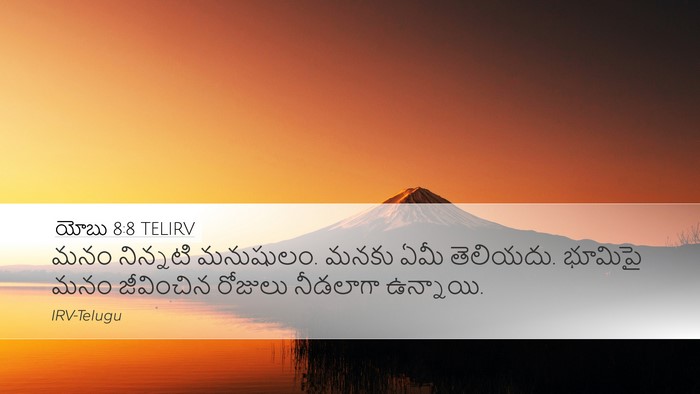 యోబు 8:8 TELIRV Bible Verse Image