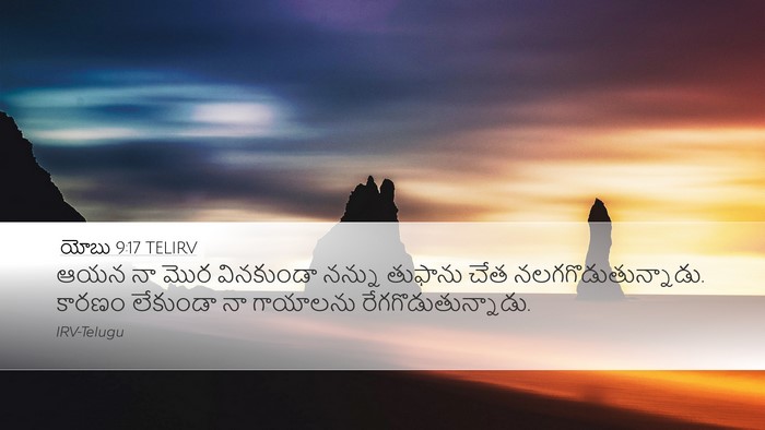 యోబు 9:17 TELIRV Bible Verse Image