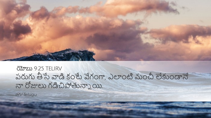 యోబు 9:25 TELIRV Bible Verse Image