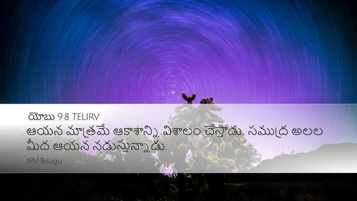 యోబు 9:8 TELIRV Bible Verse Image