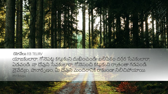 యోవేలు 1:13 TELIRV Bible Verse Image