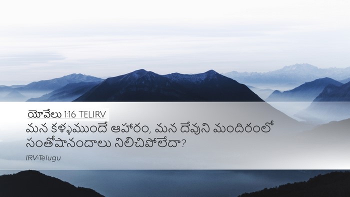 యోవేలు 1:16 TELIRV Bible Verse Image