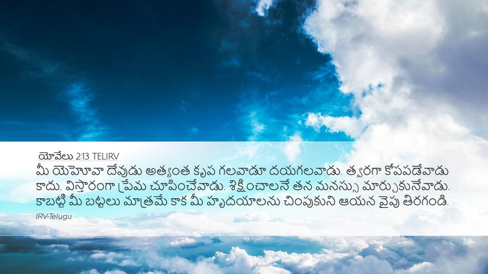 యోవేలు 2:13 TELIRV Bible Verse Image