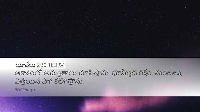 యోవేలు 2:30 TELIRV Bible Verse Image