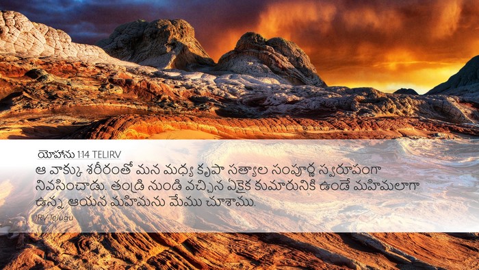 యోహాను 1:14 TELIRV Bible Verse Image