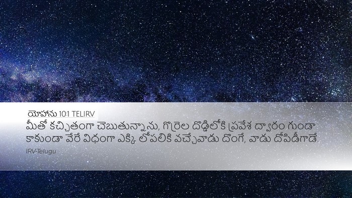 యోహాను 10:1 TELIRV Bible Verse Image