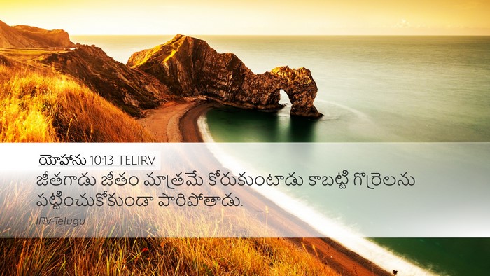 యోహాను 10:13 TELIRV Desktop Wallpaper - జీతగాడు జీతం - Desktop Bible Verse Wallpaper