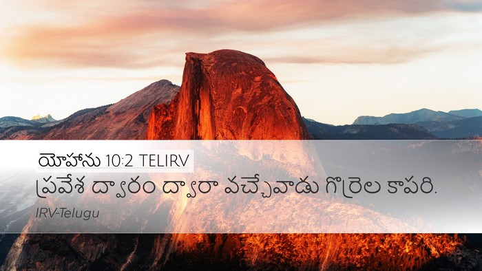 యోహాను 10:2 TELIRV Desktop Wallpaper - ప్రవేశ ద్వారం - Desktop Bible Verse Wallpaper