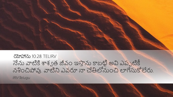 యోహాను 10:28 TELIRV Bible Verse Image
