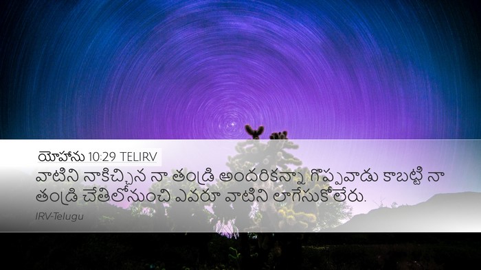 యోహాను 10:29 TELIRV Bible Verse Image