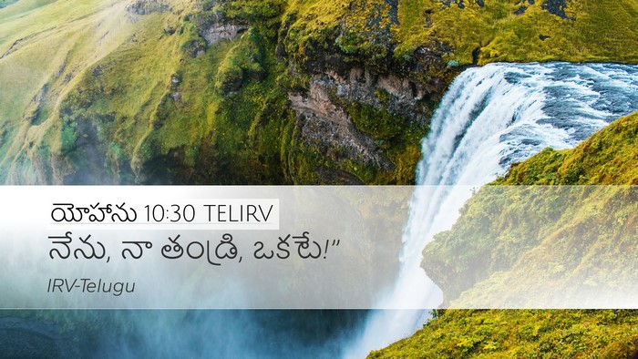 యోహాను 10:30 TELIRV Bible Verse Image