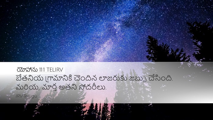 యోహాను 11:1 TELIRV Bible Verse Image