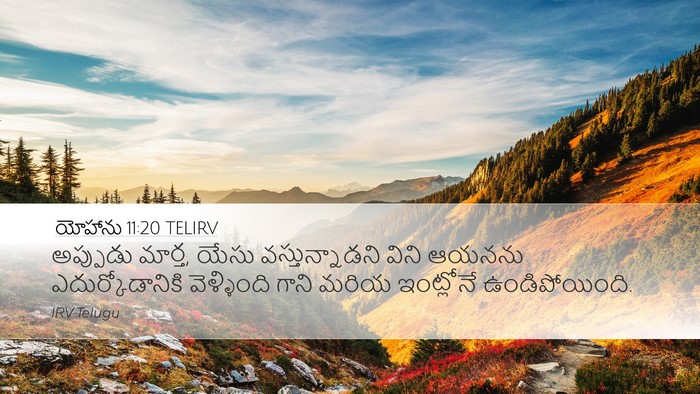 యోహాను 11:20 TELIRV Desktop Wallpaper - అప్పుడు మార్త, - Desktop Bible Verse Wallpaper