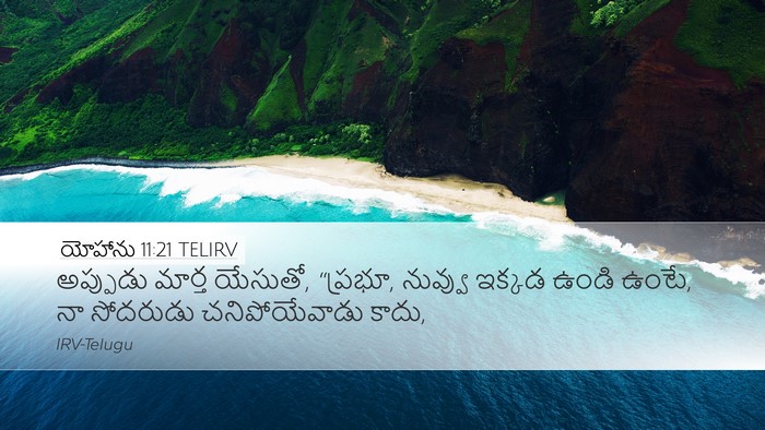 యోహాను 11:21 TELIRV Bible Verse Image