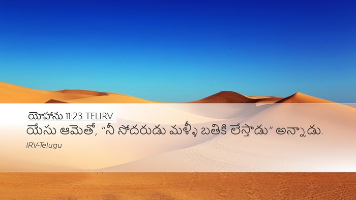 యోహాను 11:23 TELIRV Bible Verse Image