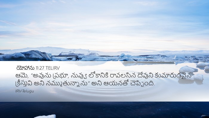 యోహాను 11:27 TELIRV Bible Verse Image