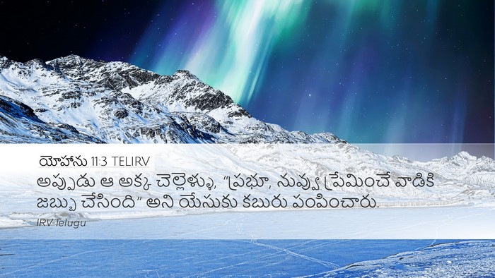 యోహాను 11:3 TELIRV Bible Verse Image