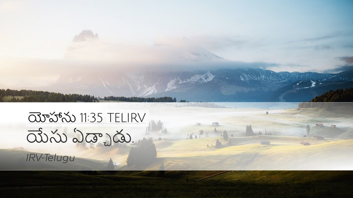 యోహాను 11:35 TELIRV Bible Verse Image