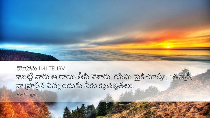 యోహాను 11:41 TELIRV Bible Verse Image