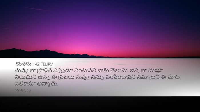 యోహాను 11:42 TELIRV Bible Verse Image