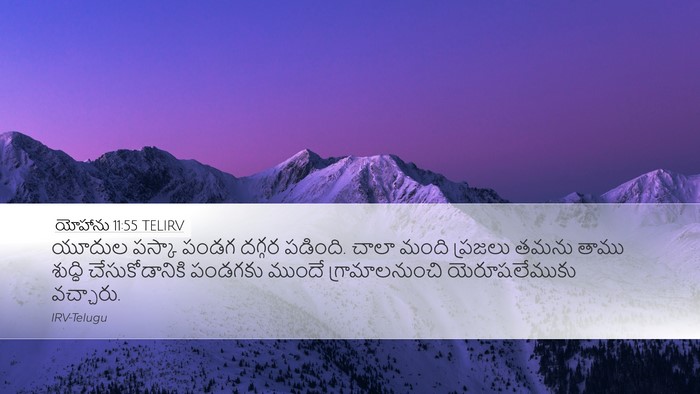 యోహాను 11:55 TELIRV Bible Verse Image