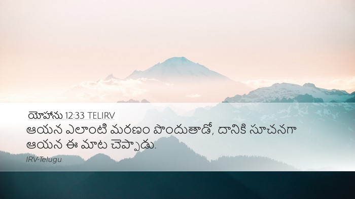 యోహాను 12:33 TELIRV Bible Verse Image