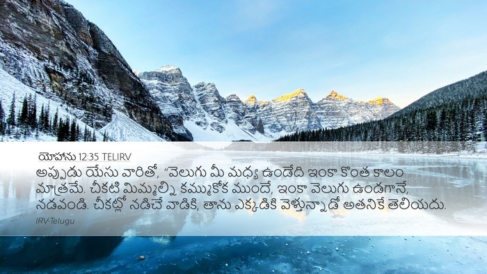 యోహాను 12:35 TELIRV Bible Verse Image
