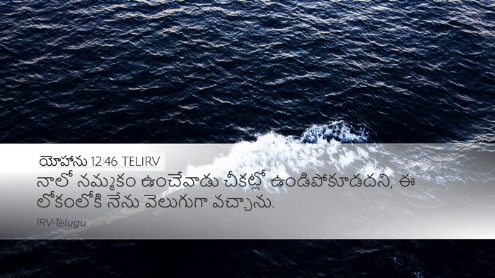 యోహాను 12:46 TELIRV Bible Verse Image