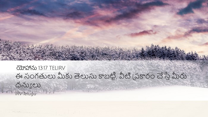 యోహాను 13:17 TELIRV Bible Verse Image