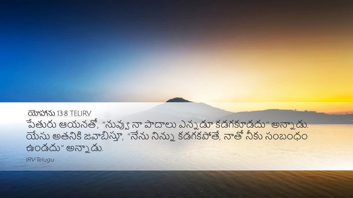 యోహాను 13:8 TELIRV Bible Verse Image