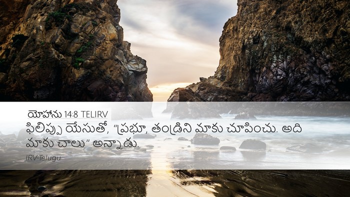 యోహాను 14:8 TELIRV Bible Verse Image