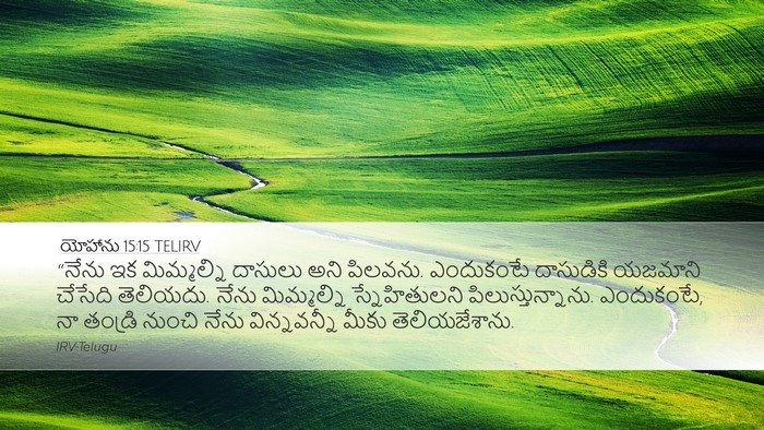 యోహాను 15:15 TELIRV Bible Verse Image