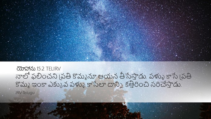 యోహాను 15:2 TELIRV Bible Verse Image