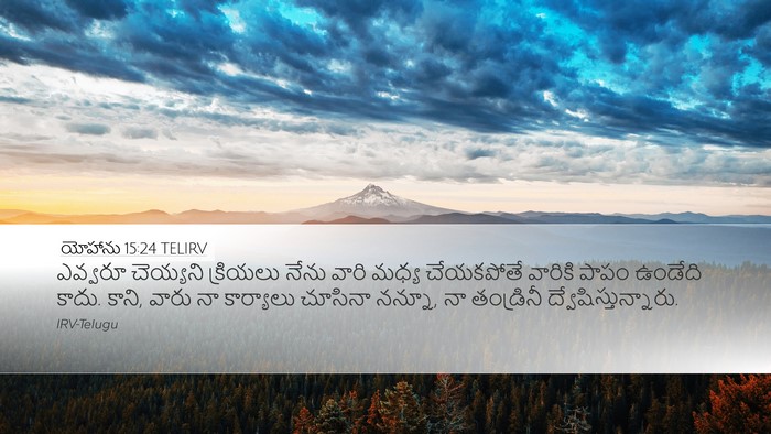యోహాను 15:24 TELIRV Bible Verse Image