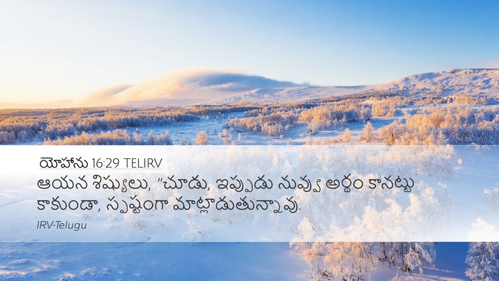 యోహాను 16:29 TELIRV Bible Verse Image