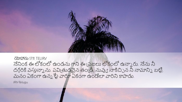 యోహాను 17:11 TELIRV Bible Verse Image