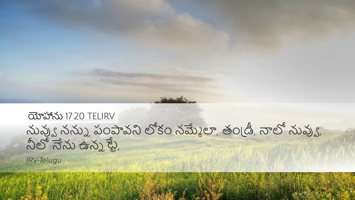 యోహాను 17:20 TELIRV Bible Verse Image