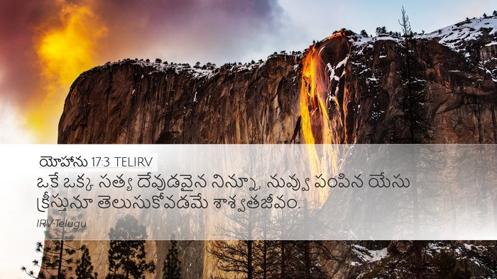 యోహాను 17:3 TELIRV Bible Verse Image