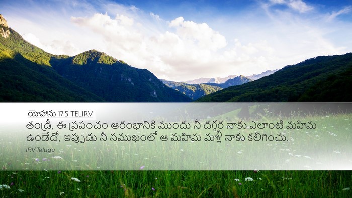 యోహాను 17:5 TELIRV Bible Verse Image