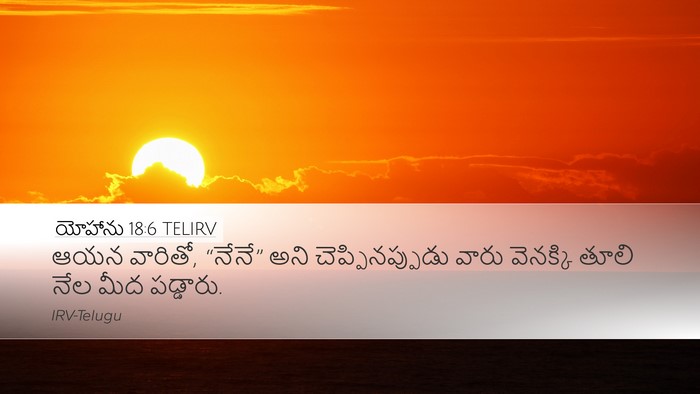 యోహాను 18:6 TELIRV Bible Verse Image