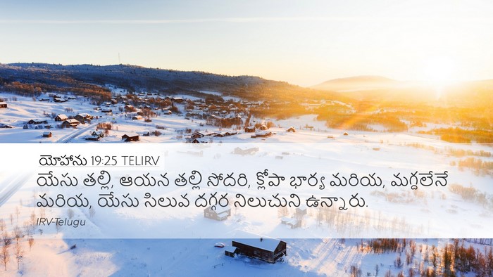 యోహాను 19:25 TELIRV Bible Verse Image