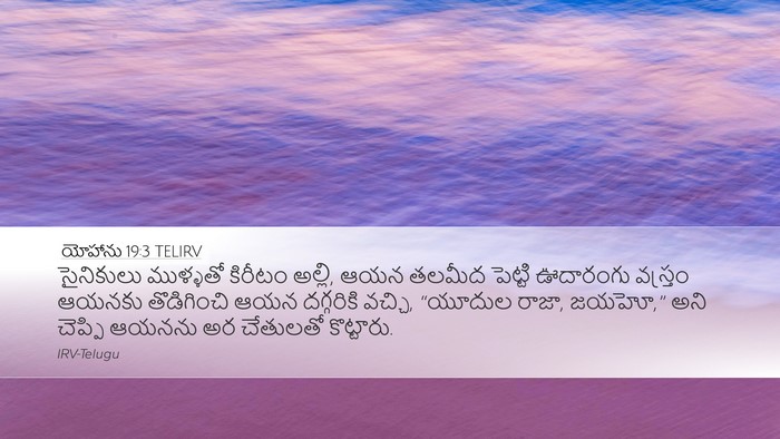 యోహాను 19:3 TELIRV Bible Verse Image